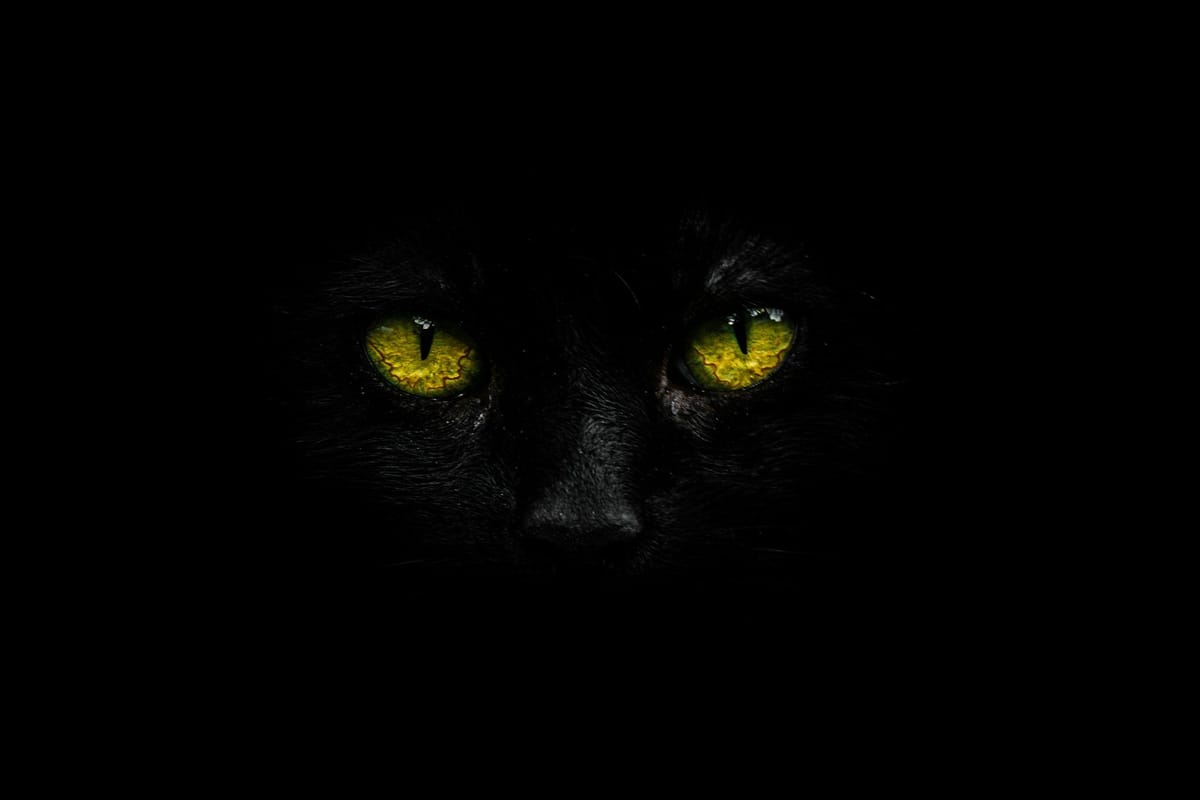 Am I Superstitious?